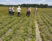 Окрім проведення рубок лісівники ще проводять посадку лісу