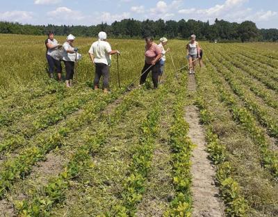 Окрім проведення рубок лісівники ще проводять посадку лісу