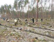 Як прикордонники садили ліс 