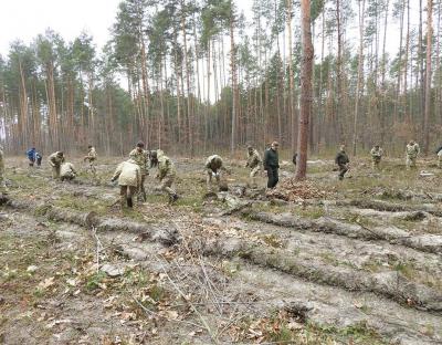 Як прикордонники садили ліс 