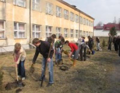 На Бродівщині продовжується акція «Майбутнє лісу в твоїх руках»