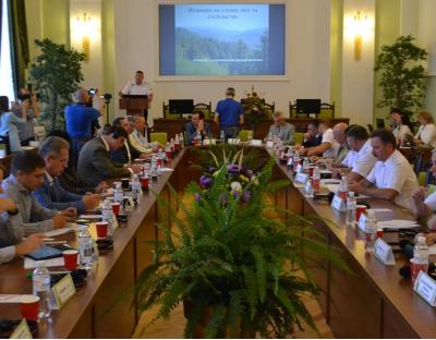Потрібно відмінити мораторій, дати вільний ринок для дров'яної продукції - Володимир Бондар