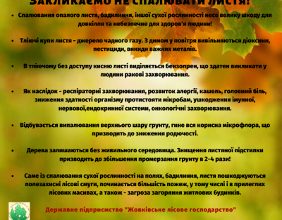 Альтернатива спалюванню листя - компостування!