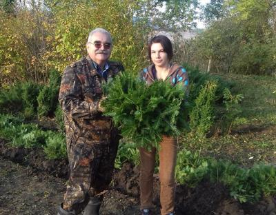 Ялицеві ліси будуть на Перемишлянщині