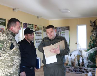 Ліс – це державна власність