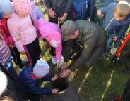 273 іменованих дерев вже ростуть на теренах шкіл