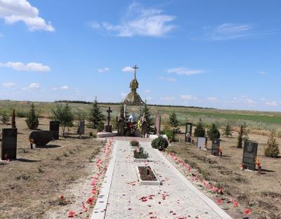 На меморіальному комплексі «На горі Карачун» висадили ялинки з Західної України (відео)