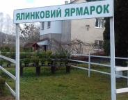 Лісівники Бібрського лісгоспу розпочали підготовку до ялинкової кампанії