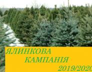 ЯЛИНКОВА КАМПАНІЯ