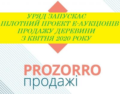 Уряд запускає пілотний проект е-аукціонів продажу деревини на "Prozorro.Продажі" з квітня 2020 року