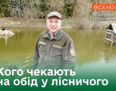 Озерце в садибі