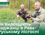 З думкою про якісні деревостани…