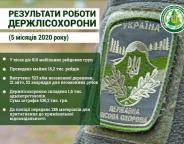 У лісах проведено 16,2 тис. рейдів з попередження незаконних рубок