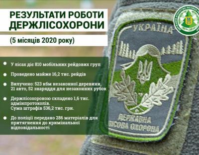 У лісах проведено 16,2 тис. рейдів з попередження незаконних рубок