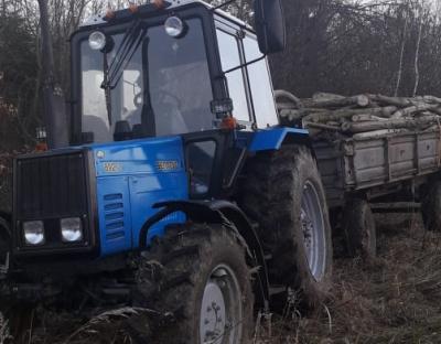 Крадіжка лісу на Яворівщині