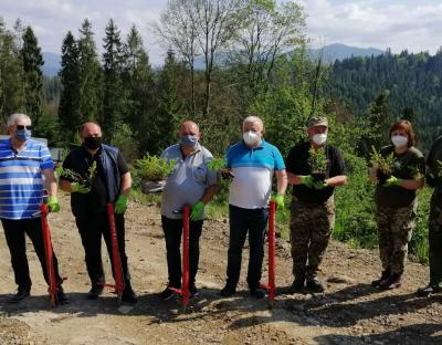 САДИТИ ЛІС МОЖНА І ЛІТОМ – ЄВРОПЕЙСЬКИЙ ДОСВІД