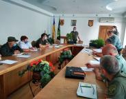 Кожен висаджений сіянець потребує лісівничої уваги