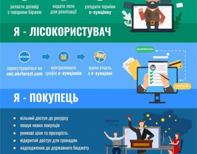 Покрокова інструкція участі в електронних аукціонах деревини на е-майданчику ДП "ЛІАЦ" Держлісагентства
