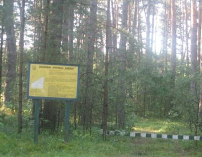 Заповідне урочище "Борове"