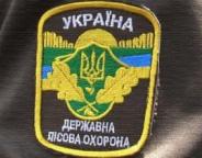 Лісокрадів затримали «на гарячому»