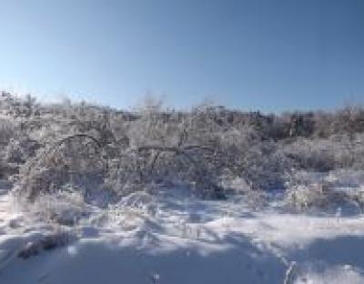 Про наслідки стихії на Львівщині