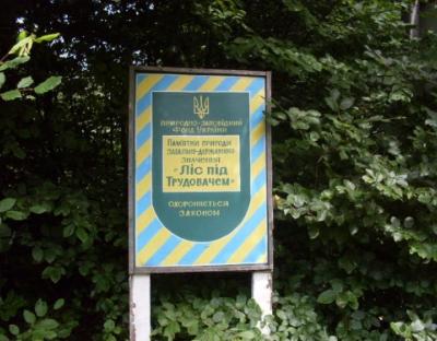 Заповідне урочище "Ліс під Трудовачем"