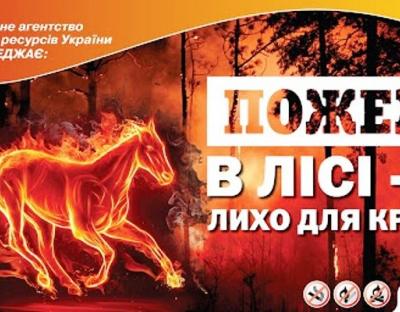 Держлісагентство: з початку року виникло 180 лісових пожеж, половина з них - за останній тиждень