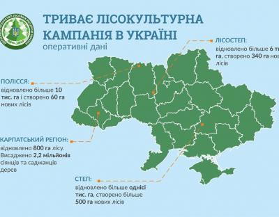 У Карпатах вже висаджено 2,2 млн дерев, - Андрій Заблоцький