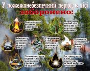 Держлісагентство закликає громадян не спалювати сухостій: це призводить до пожеж у лісах