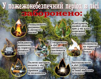 Держлісагентство закликає громадян не спалювати сухостій: це призводить до пожеж у лісах