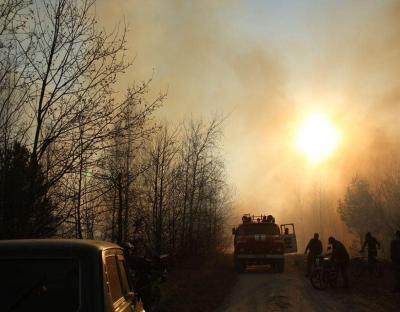 Держлісагентство підтримує ініціативи Уряду та народних депутатів щодо підвищення відповідальності за підпал сухостою та лісу