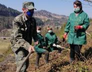 Садимо ліс в умовах карантину