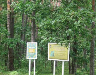 Заповідне урочище "Синичівське"
