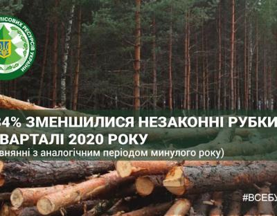 Держлісагентство: Обсяг незаконних рубок зменшився на 34%