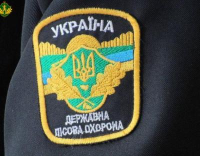 Про самовільну рубку в Пеняківському лісництві