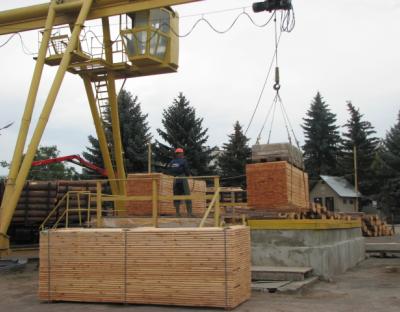 Підсумки: Експорт лісоматеріалів у 2021 році 