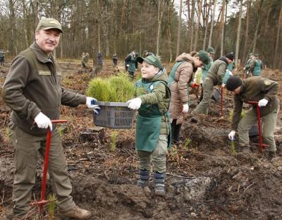 З компасом у руках. Крокують до нових звершень лісівники Львівщини