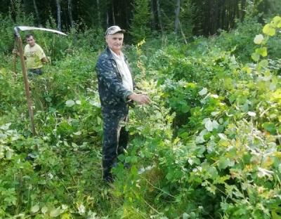Маленькому деревцю потрібен особливий догляд