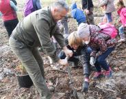 Ти просто їдеш садити ліс