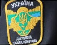 Виявлено лісопорушника