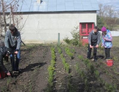 В розпалі лісокультурні роботи