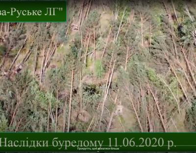 Наслідки бурелому у Рава-Руському лісгоспі