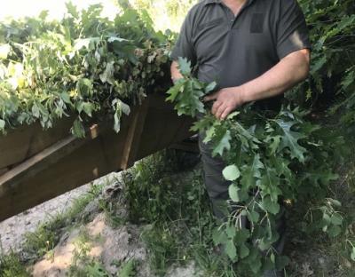 ТРИВАЄ ЗАГОТІВЛЯ КОРМІВ ДЛЯ ДИКИХ ТВАРИН