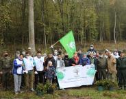 На Львівщині за добу висадили 212,4 тисяч дерев!