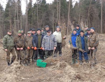 У Бібрському лісгоспі розпочалась весняна лісокультурна кампанія