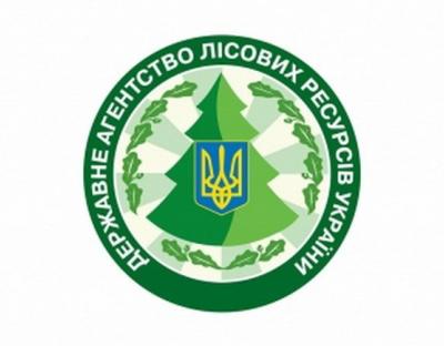 Оголошення про національний відбір Міжнародного конкурсу "Молодь в лісах Європи"