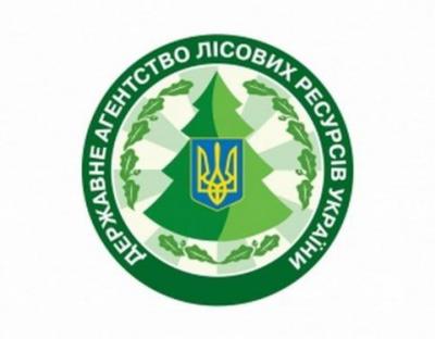 Затверджено новий План протидії пожежам
