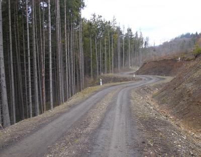 65 км лісових автомобільних доріг збудували, відремонтували та відновили лісівники Львівщини у минулому році