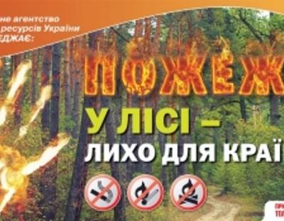 Відкрите звернення Громадської ради при Держлісагентстві стосовно лісових пожеж