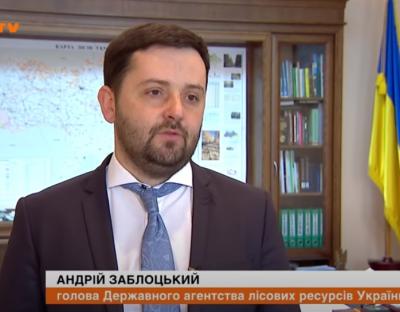 Всі ділянки суцільних зрубів відновлюють молодим лісом, - Голова Держлісагентства Андрій Заблоцький